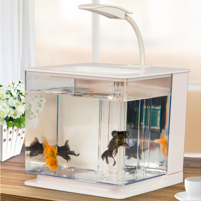 Fish Tank Living Room Small Gold Fish Bowls Office Desktop Acrylic Plastic  Store Dirty Water Mini Betta Tank Gift For Children - Aquariums - AliExpress